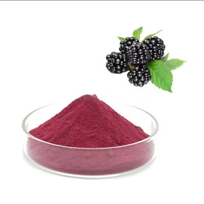 Food Grade Freeze Dried Mulberry Powder Powder Shape Liquid Solid Extraction