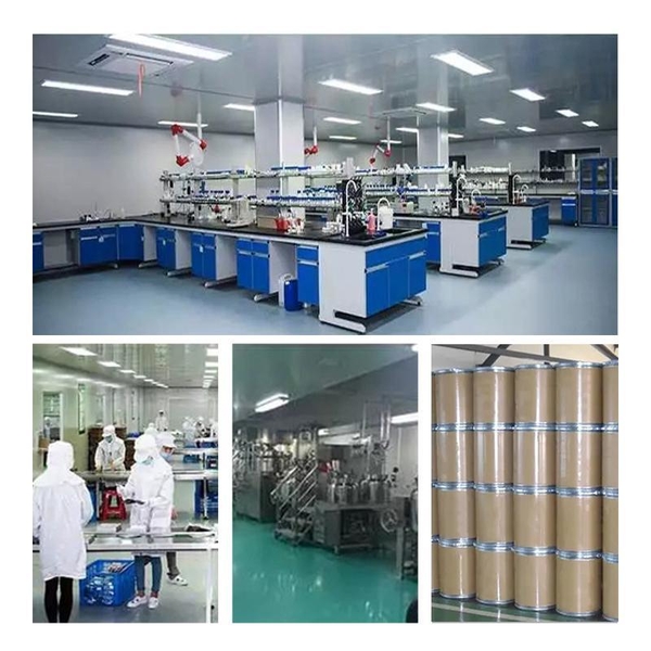 China Shaanxi Baisifu Biological Engineering Co., Ltd. company profile