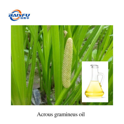 100% Pure  Pure Essential Oils Acrous Gramineus Oil /Acorus Gramineus CAS 91745-11-8 In Stock