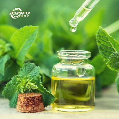 Peppermint Oil CAS 8006-90-4 Natural Plant Essential Oil For Refreshing Sensation