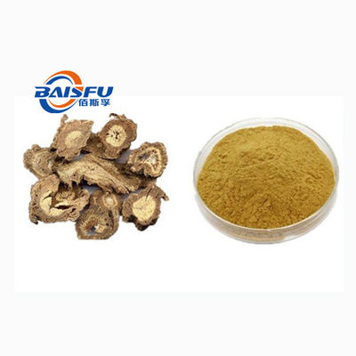 baisfu Yellowish-brown Powder Radix Angelicae Pubescentis P.E. Selling Well In Europe And America Market Part Root