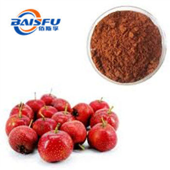 Shaanxi Baisfu plant extract Red Brown Powder 80 mesh  Food Grade More than 10% flavonoid use in Snacks, beverages, bread