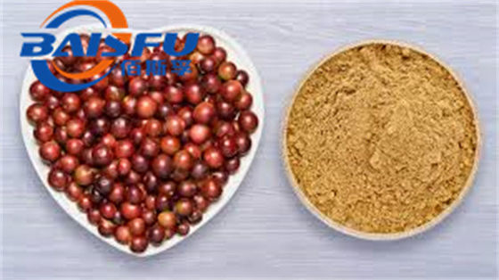 Baisfu herbal plant extract Brown fine powder Camu powder 100% pass 80 mesh UV TLC Food Grade For Food
