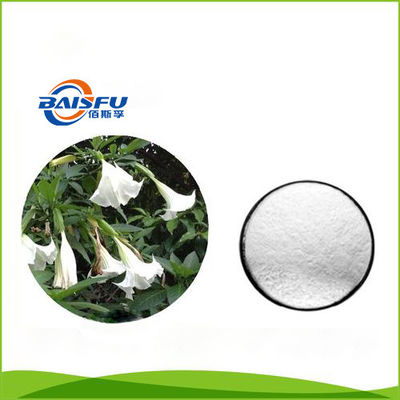 Baisfu White Fine Powder Natural High Quality Scopolamine Hydrobromide Hot Selling CAS NO.114-49-8
