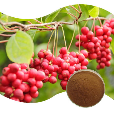 Baisfu Natural Schisandra chinensis.P.E CAS 84687-43-4 best Quality Brown Fine Powder Lignans For Functional Food and cosmetic