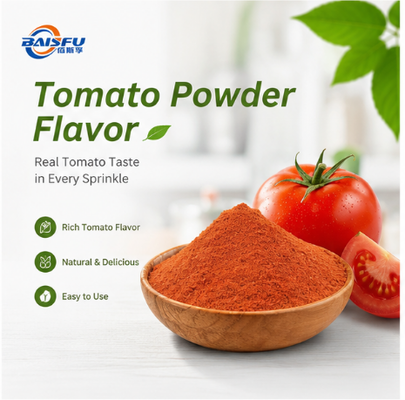 Premium High Quality Tomato Powder Flavor for Extruded Snack Seasoning Potato Chip Coating Popcorn Dusting and Savory Puff Sprinkle