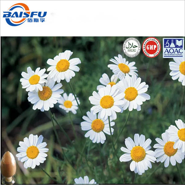 baisfu Pure Extract Pyrethrum 10:1 Brown Yellow Fine Powder for Biopesticide Organic biopesticide agricultural
