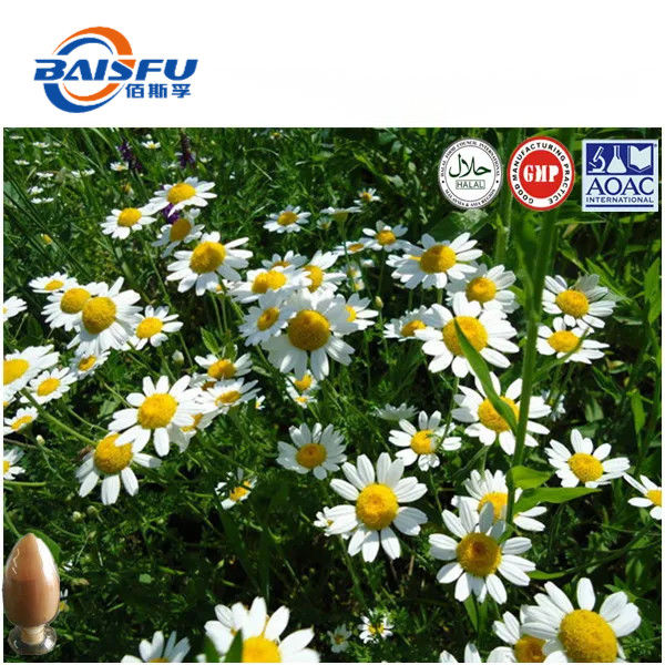 baisfu Pure Extract Pyrethrum 10:1 Brown Yellow Fine Powder for Biopesticide Organic biopesticide agricultural