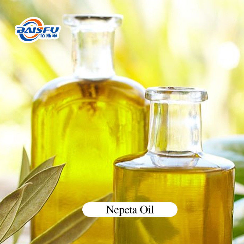 Experience Natural Essential oils Nepeta Oil CAS:8006-99-3 Charming aroma