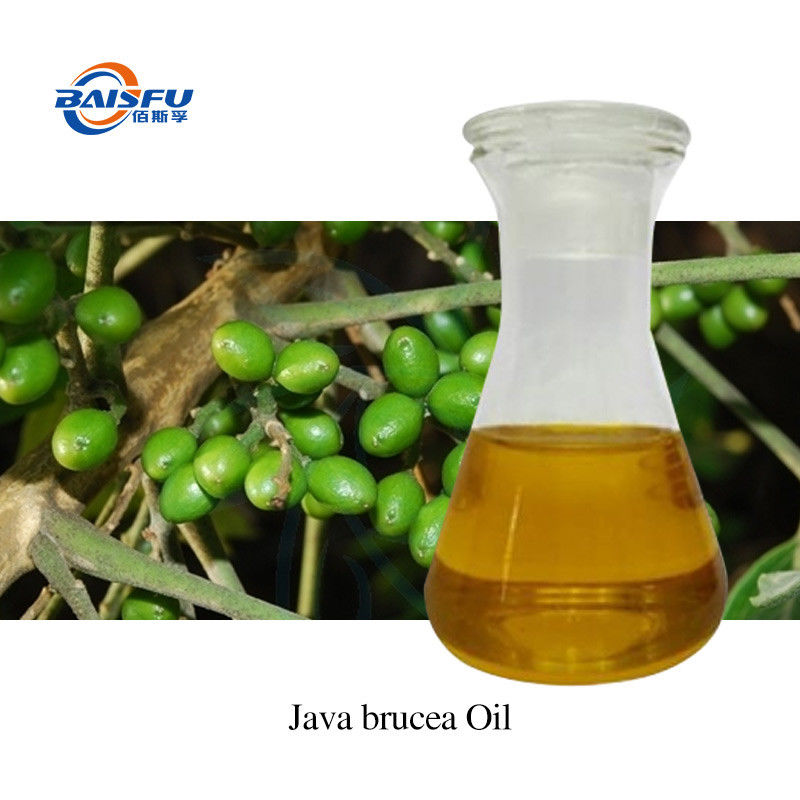 Natural Plant Essential Oil for Food Production Java Brucea Oil by Baisfu Flavours