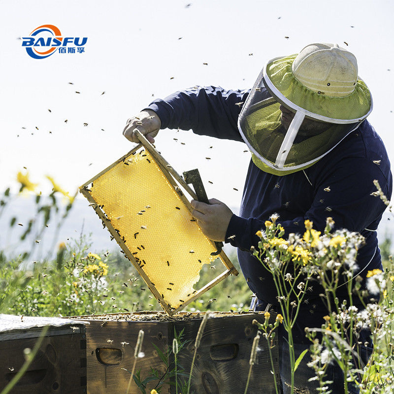 BAISFU Organic Honey Bee Products Supplier 100% Pure And Natural Lowest Price