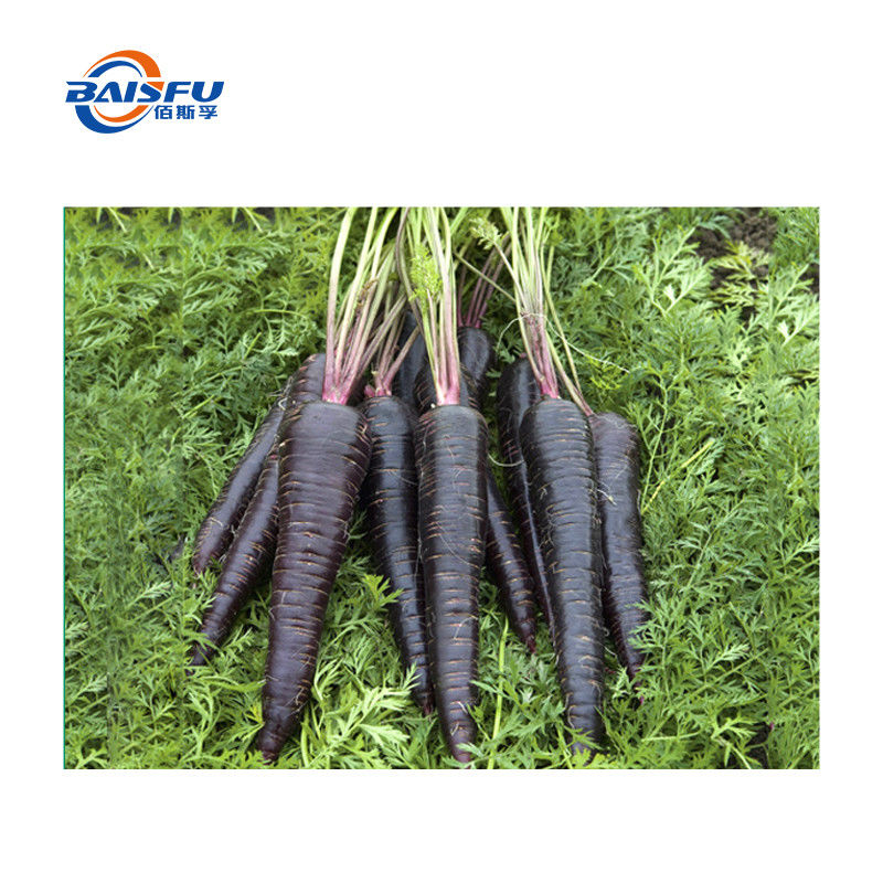 Natural Extract Food Coloring Purple Carrot Color Red Color Powder