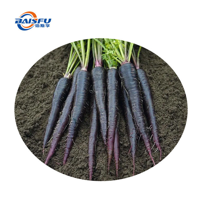 Natural Extract Food Coloring Purple Carrot Color Red Color Powder