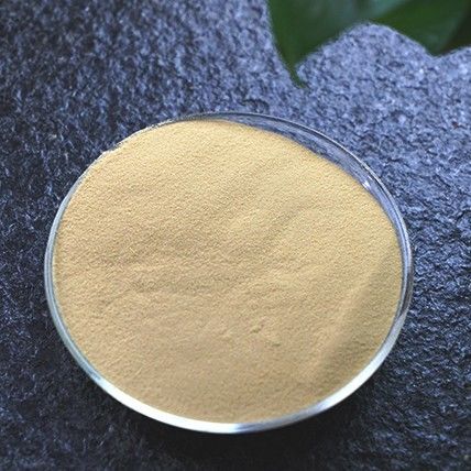 Natural and Pure  Instant Hibiscus Powder for Nutritional and Flavor Enhancement