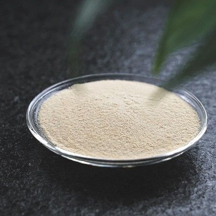 Cool And Dry Instant imperatae powder For Optimal Preservation