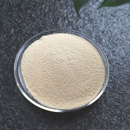 Cool And Dry Instant imperatae powder For Optimal Preservation