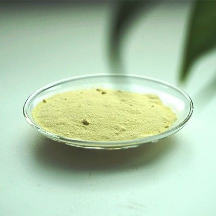 Boost Your Health With The Natural Goodness Of Instant Changshan-huyou powder