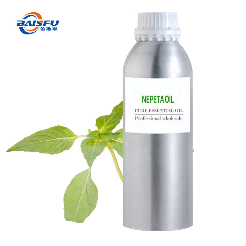 Natural Plant Oils Nepeta Oil CAS 8006-99-3 Free Samples Nepeta Cataria Essential Oil