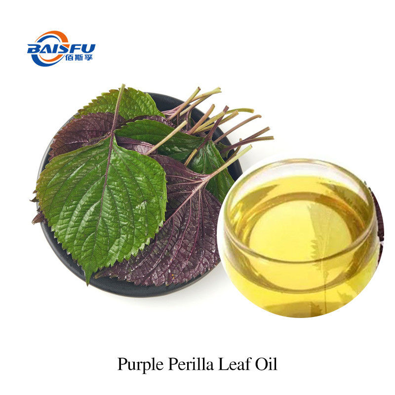 Cultibated Purple Perilla Leaf Purple Perilla Leaf Oil CAS 68132-21-8 Pure Essential Oils Free Samples 20ml