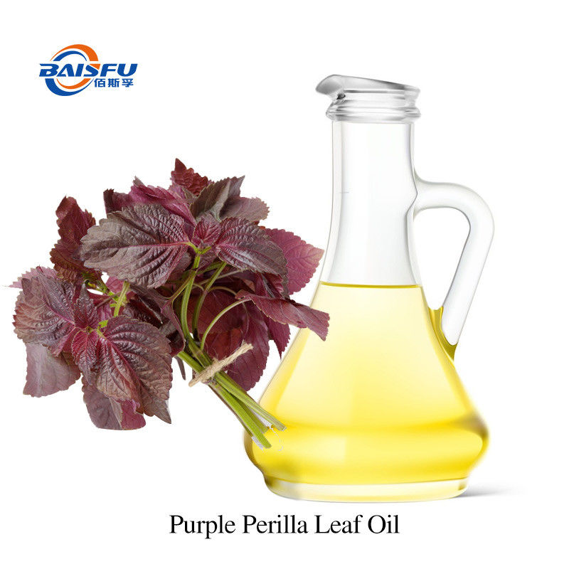 Cultibated Purple Perilla Leaf Purple Perilla Leaf Oil CAS 68132-21-8 Pure Essential Oils Free Samples 20ml