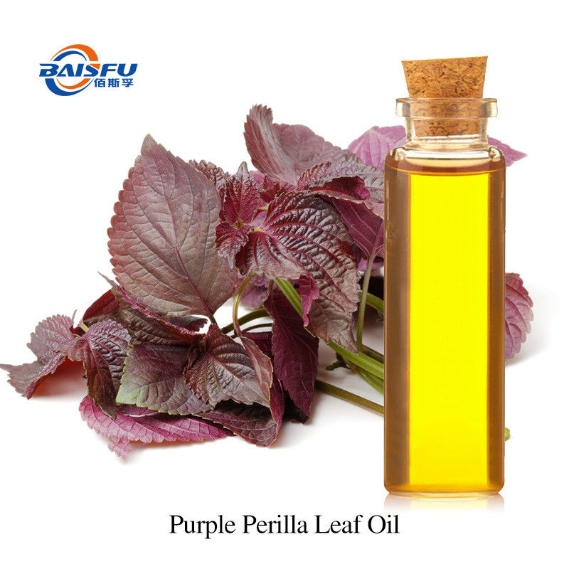 Cultibated Purple Perilla Leaf Purple Perilla Leaf Oil CAS 68132-21-8 Pure Essential Oils Free Samples 20ml