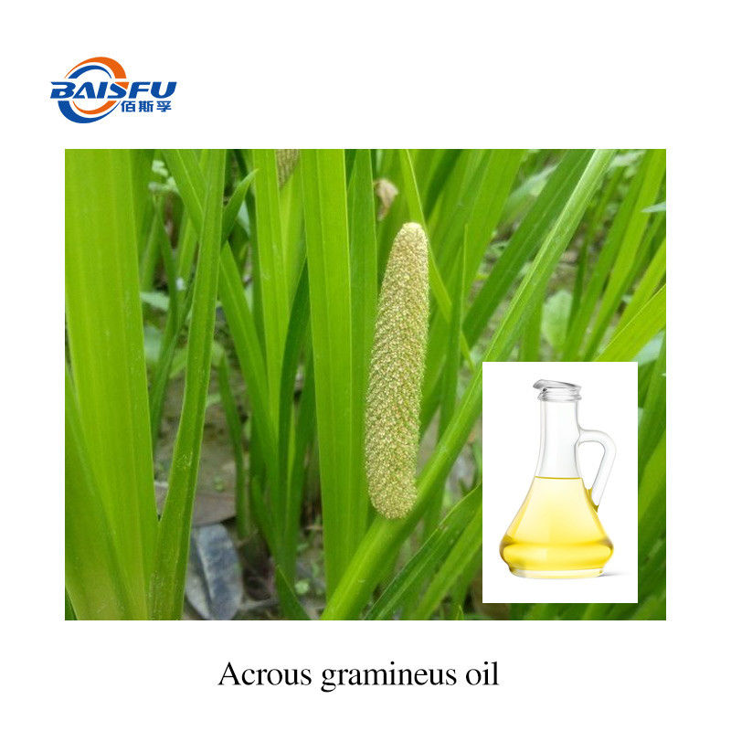100% Pure  Pure Essential Oils Acrous Gramineus Oil /Acorus Gramineus CAS 91745-11-8 In Stock