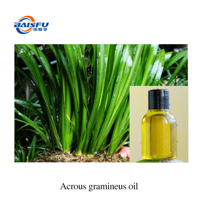 100% Pure  Pure Essential Oils Acrous Gramineus Oil /Acorus Gramineus CAS 91745-11-8 In Stock