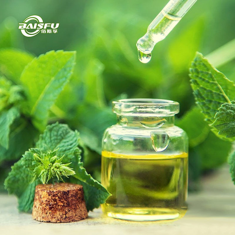 Peppermint Oil CAS 8006-90-4 Natural Plant Essential Oil For Refreshing Sensation