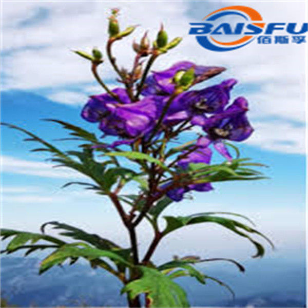 Ranaconitine Extract 98% CAS No. 1360-76-5 Pure Plant Extract