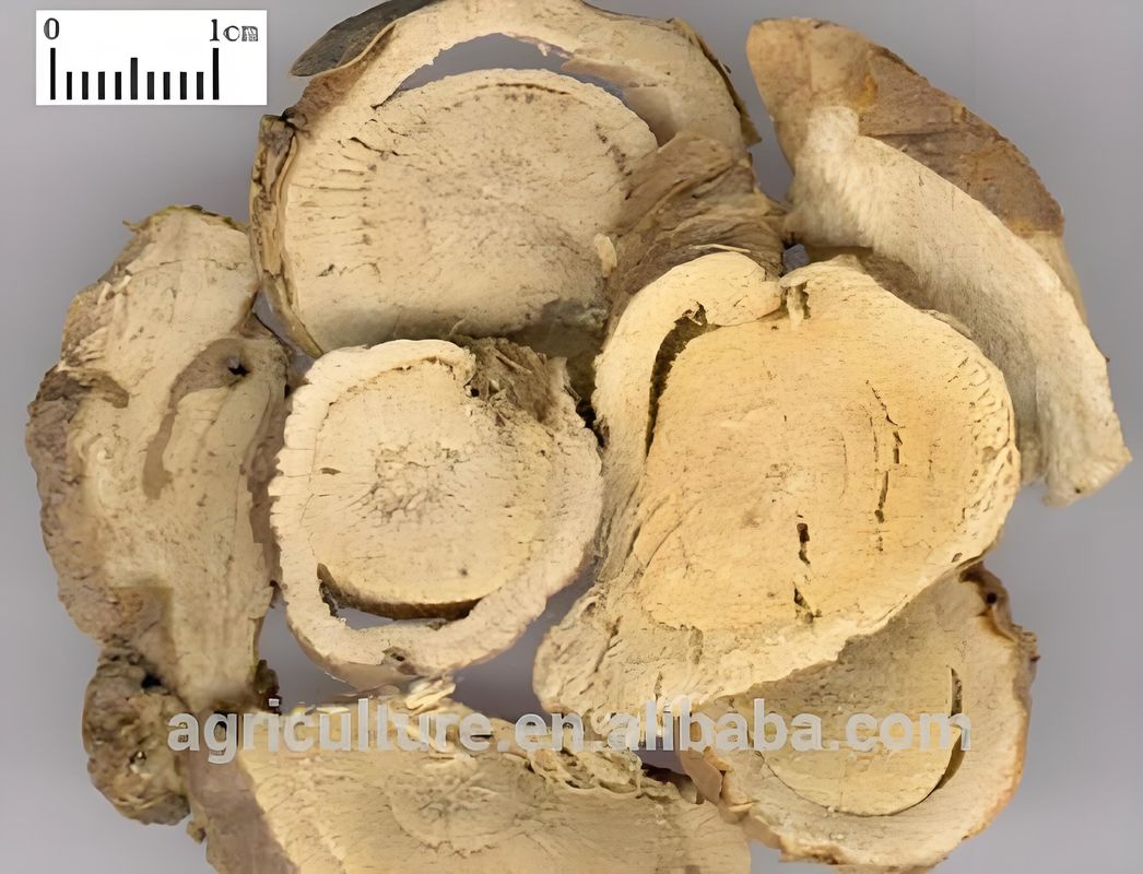 Baisfu Professionally Manufacture And Supply High Quality Sophoridine 98% Pure Plant Extract