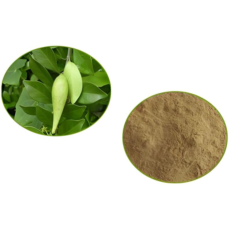 Baisfu professionally manufacture and supply pure cocoa butter, organic raw material supplier