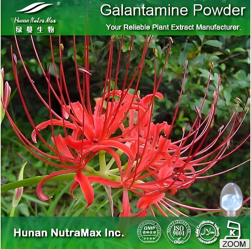 Natural Galanthamine Hydrobromide 98% Plant extraction standard