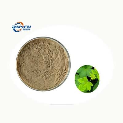 Baisfu Wholesale 80% Plant Extract Powder Gynostemma P.E.,Gynostemma Leaf P.E.,Gynostemma Pentaphyllum P.E. Used in Food