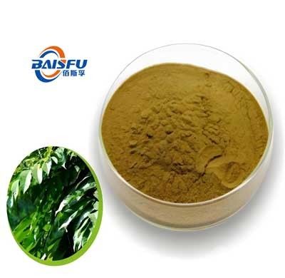 Baisfu Plant extract powder High Quality Olive Leaf P.E Popular In Europe And America Market used in cosmetics