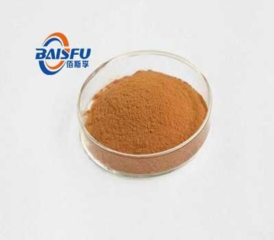 Baisfu plant extract powder Natural Herb Andrographis Paniculata Extract 98% HPLC used in Food industry