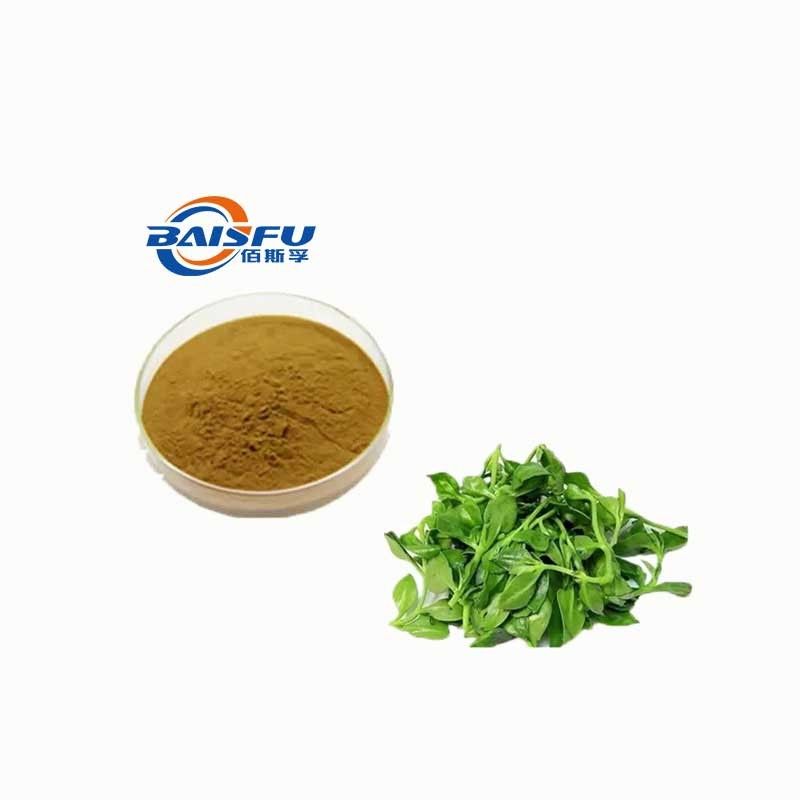 Baisfu plant extract powder Natural Herb Andrographis Paniculata Extract 98% HPLC used in Food industry