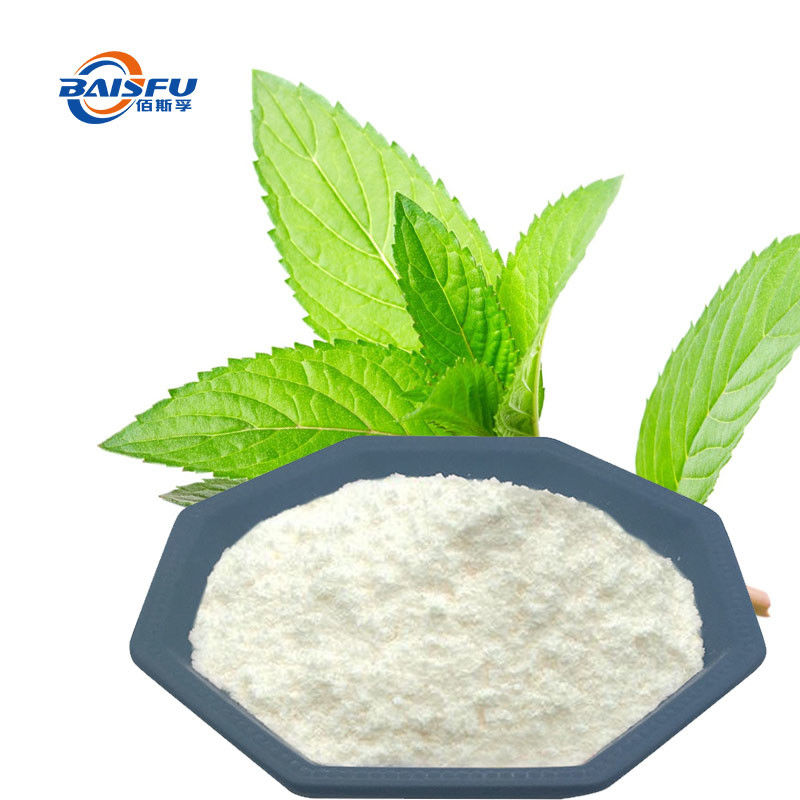 Baisfu Plant extract powder Peppermint Extract Selling Well In Europe And America Market used in beverage