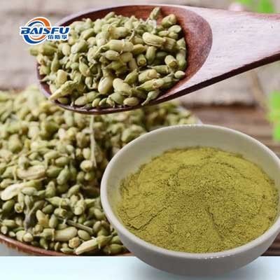 Baisfu plant extract yellow powder high quality Natural Rutin 90% used in food and beverage