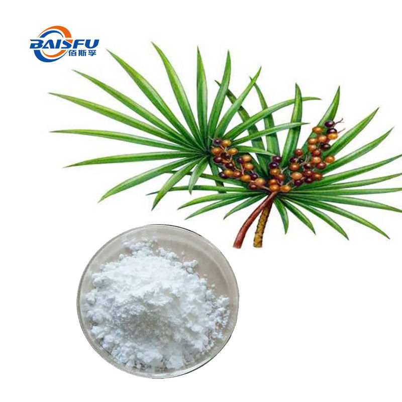 Baisfu plant extract powder Top Quality Saw Palmetto Extract Powder Saw Palmetto P.E. used in food