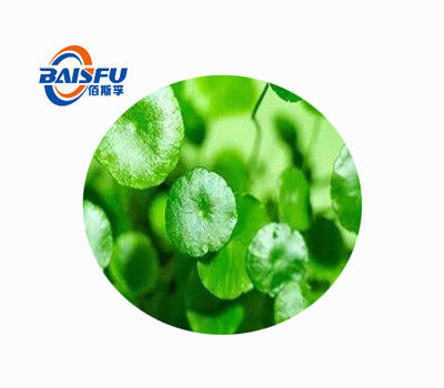 Baisfu Plant Extract Powder Hot Selling Natural Asiaticoside Used In cosmetics