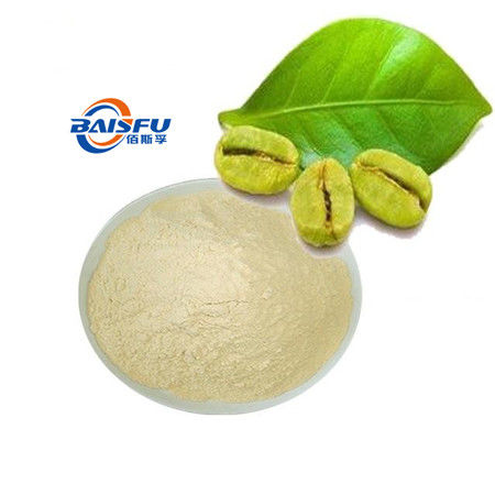 Baisfu plant extract powder  Best Chlorogenic Acid Hot Selling used in food