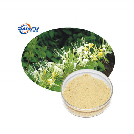 Baisfu plant extract powder  Best Chlorogenic Acid Hot Selling used in food