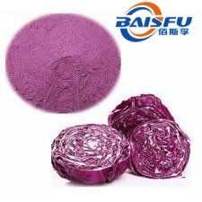 Shaanxi Baisfu hot selling high quality 100% Natural red cabbage extractPurple cabbage extractPurple broccoli powder