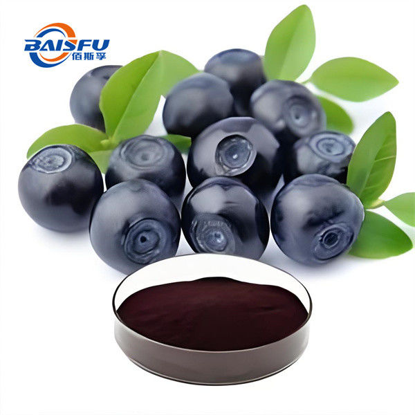 Highly concentrated 99% Bilberry extract plant extract purple black powder