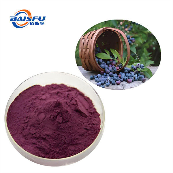 Highly concentrated 99% Bilberry extract plant extract purple black powder