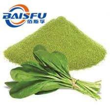Baisfu plant powder 98% Spinach Powder CAS No: 11006-34-1; 65963 Hot Selling - Get Your Favorite Price Here With Low MOQ