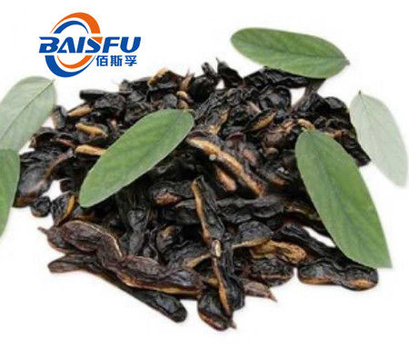 Baisfu plant yellow powder CAS152-95-4 Top Sell Products Sophoricoside 98% HPLC used in food