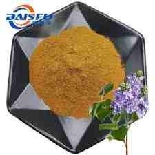 Baisfu plant extract powder 90% powder Best selling Bud Extract Powder, Flos Geused in food additive