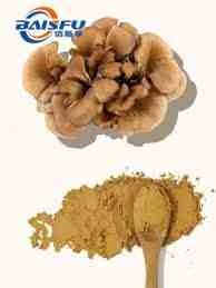 Baisfu Pure Plant Extract Maitake Mushroom Extract Powder for Blood Sugar Control