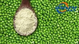 Baisfu plant extract powder 90% light yellow powder Best selling  supply Pea protein powder used in food additive